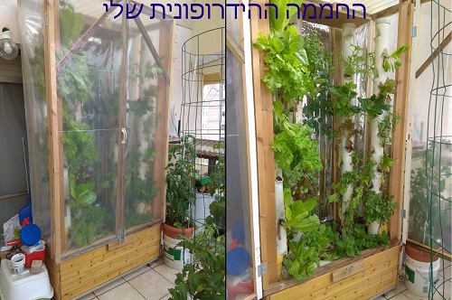 המרפסת הירוקה