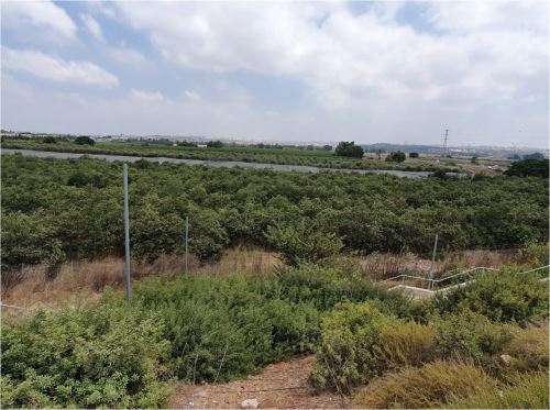  תושבי פ"ת יפגינו נגד הכוונה להעביר שטח חקלאי סמוך לפ"ת לעיר אלעד 