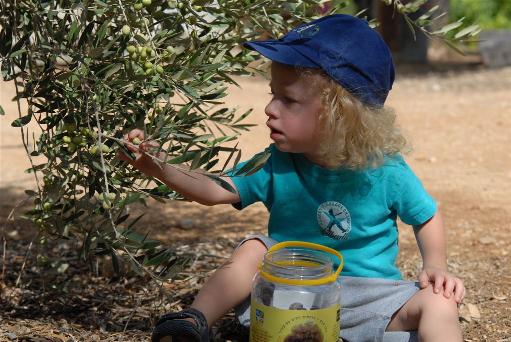 לטייל עם הקק"ל