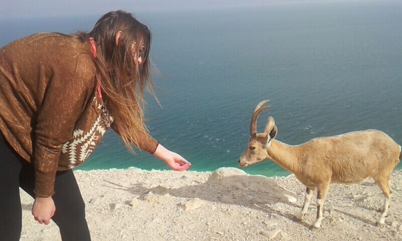 מצפצפים עלינו ואנחנו שותקים