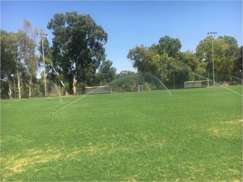 דשא חדש  במגרש האימונים של הפועל פ"ת בכדורגל